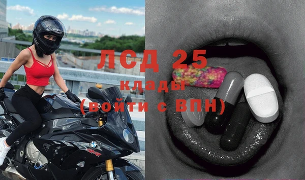 дживик Абинск