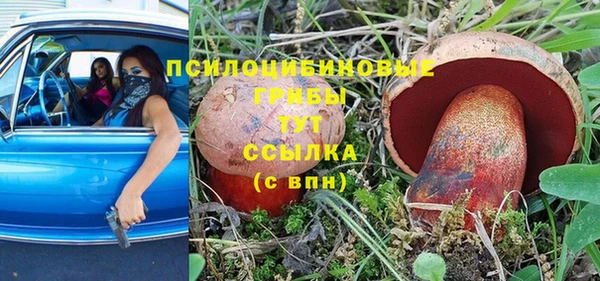 мдпв Абаза